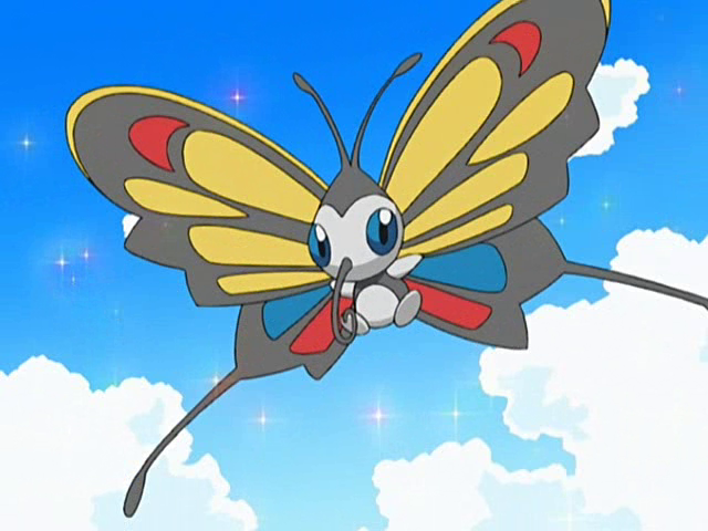 Beautifly in the anime