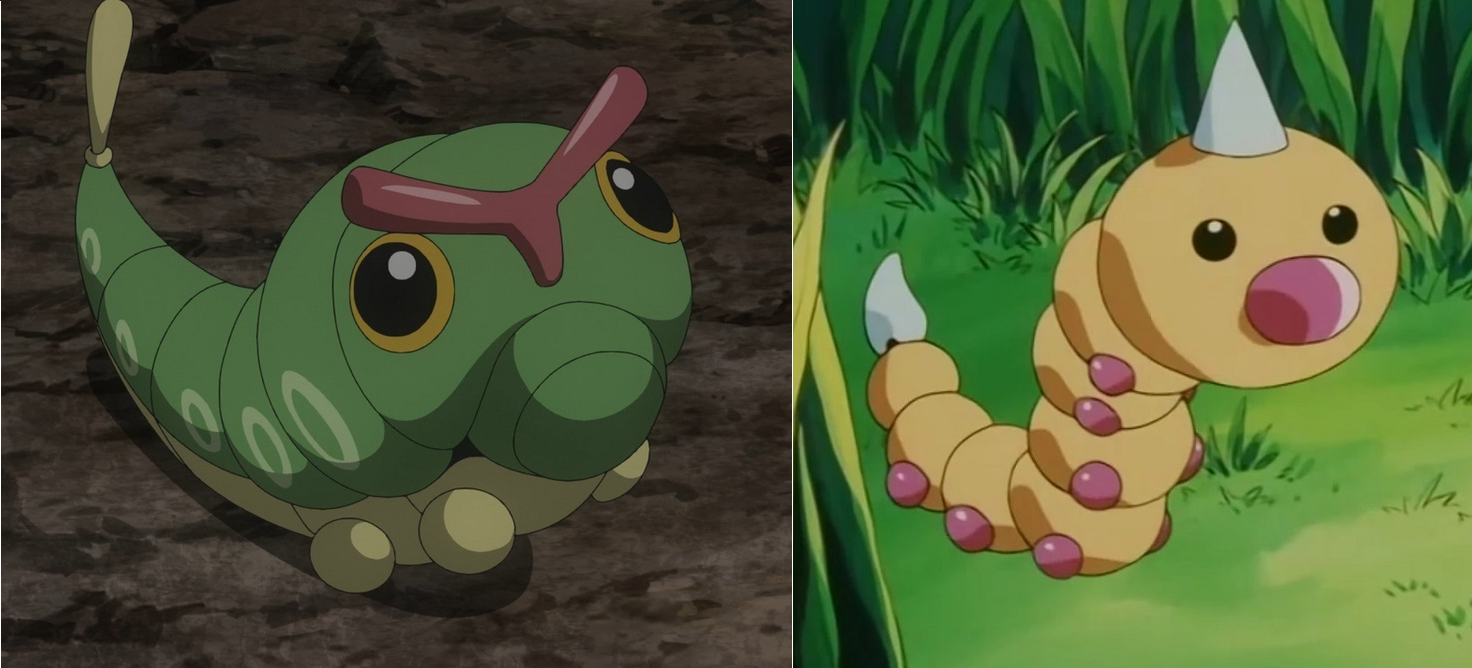 Caterpie and Casey's Weedle in the anime