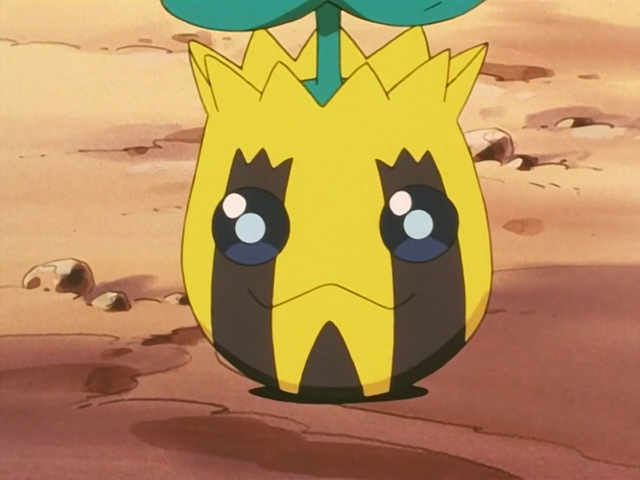 Sunkern the "Seed Pokémon" in the anime